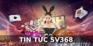 Tin tức sv368 mang đến cho người chơi nhiều thông tin hữu ích