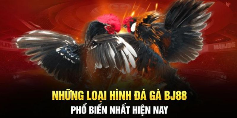 Những thể loại đá gà BJ88 phổ biến