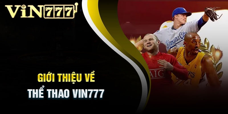 Thể thao Vin777 trải nghiệm cực kỳ đỉnh cao